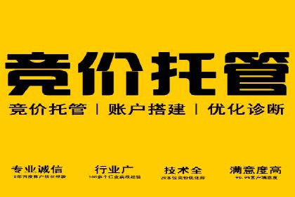 搜索引擎营销新篇章：SEM开户案例解析